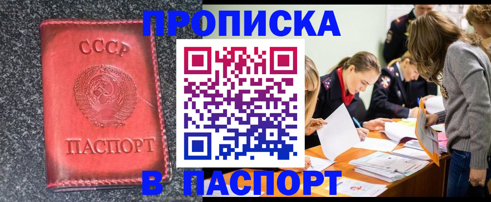 прописка для школы в Малой Вишере